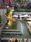421 photo