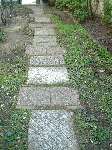 664 photo