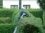 jardinier